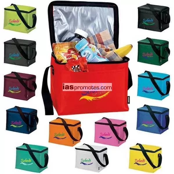 Customized Ad Specialty Picnic Cooler